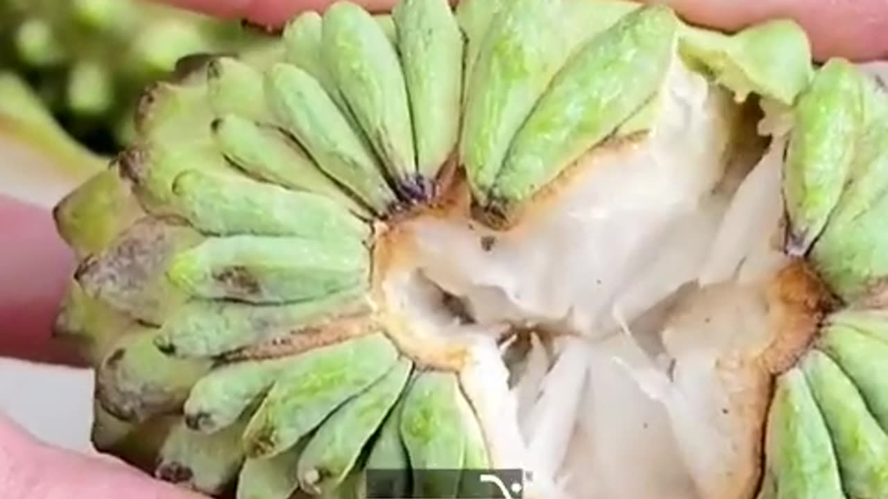 सीताफल खाने के जबरदस्त 4 फायदे Sitafal ke fayde. Custard Apple benefits