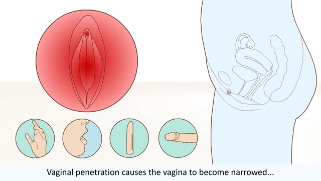 Let's learn about sex