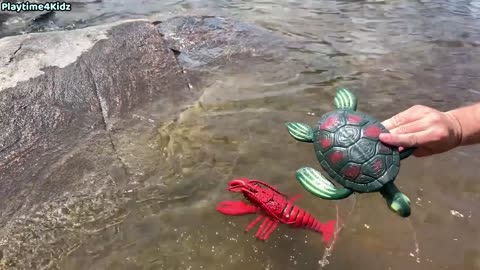 Animal sea toys this summer at the shore