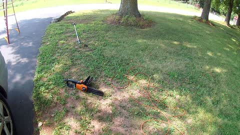 Pruning trees at the in-laws.