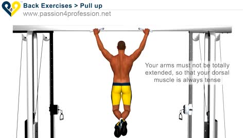 HOW TO PULL UP EXERCISE