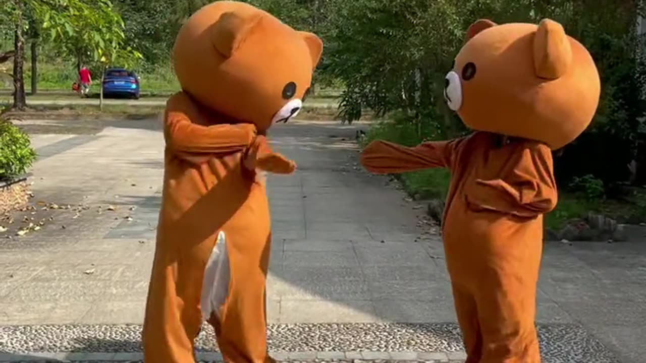 mischievous bear destroys humor 3