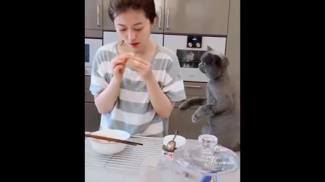 Animals SOO Cute Just a relaxing video - #shorts 28