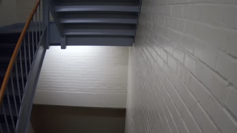 3869FHOB01Stair6_2021-01-06_05h40min00s587ms.mp4