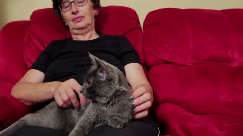 Woman and cat on couch relaxing