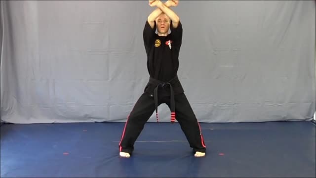 Basic Skillz Orange Belt - Purple Stripe
