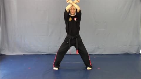 Basic Skillz Orange Belt - Purple Stripe