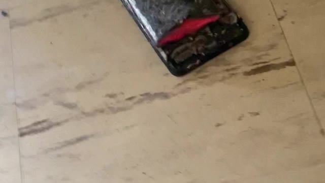 NOKIA PHONE BLOWS UP IN HOUSE