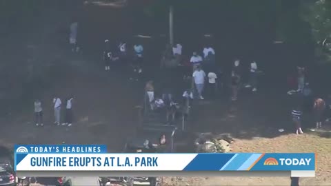 Shooting In Los Angeles Park Leaves 2 Dead, 5 Injured