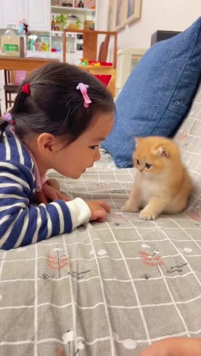 Diana and Roma take care of the kitten