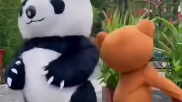 Funny panda