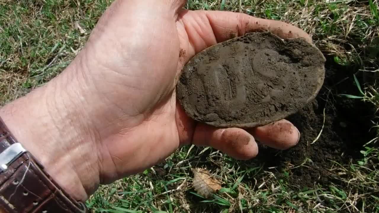 Best find rewind!
