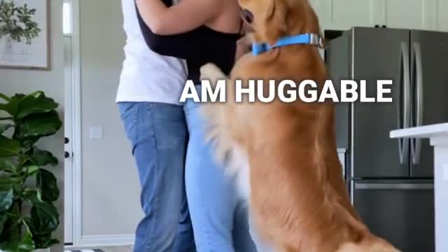 I'm also huggable