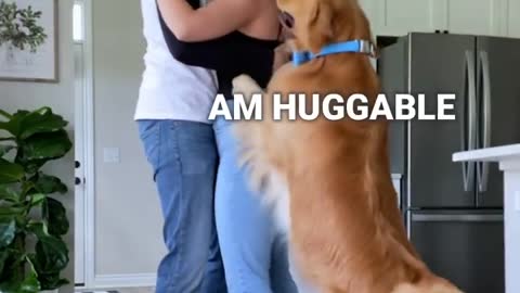 I'm also huggable