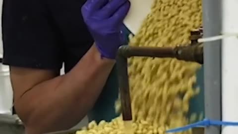 Let's take a look at how handmade tofu is made
