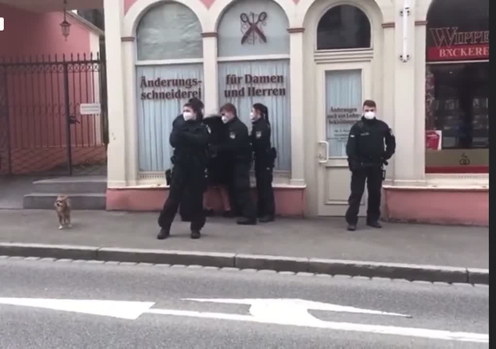 These NAZI´S harassing an elderly woman /Mirrored/