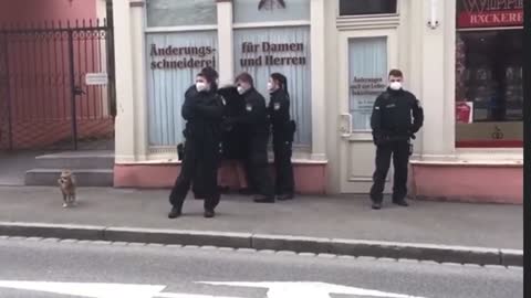 These NAZI´S harassing an elderly woman /Mirrored/