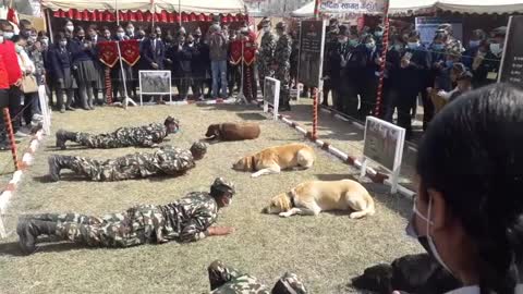 Nepal army dog training.