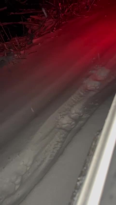 Siberian Tigers still lurking and stalking in Russia