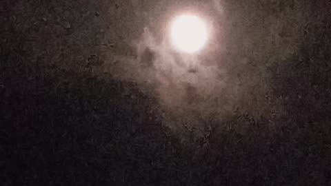 the night view in the mon plz like and follow me