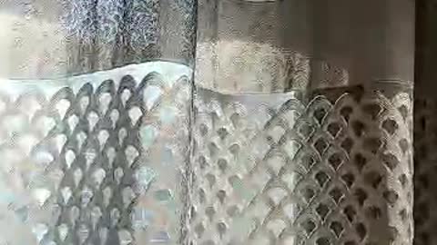 bird in the apartment