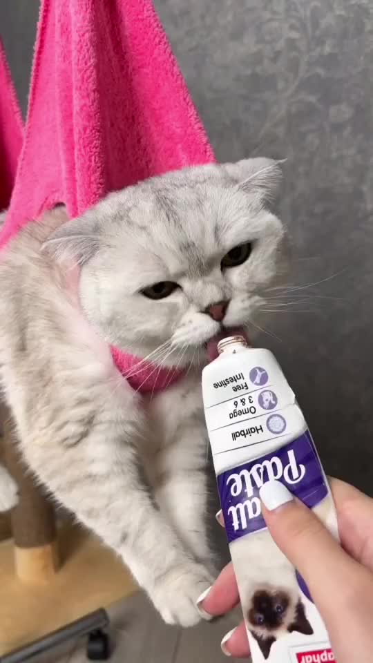 How to trim your cat's claws