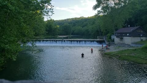 Water Fall Bennett