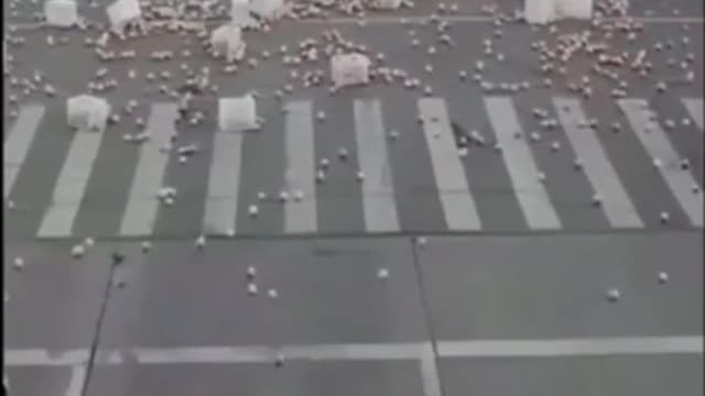 Humanity