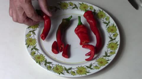 Comparing The Taste Of Jimmy Nardello And Gernika Peppers