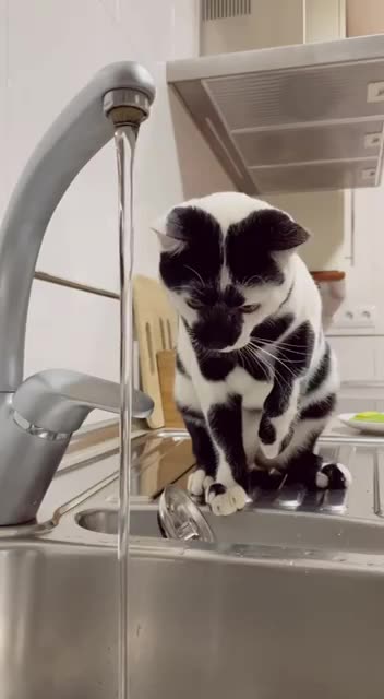 What is this thing and where is it coming from? 🤣