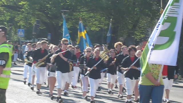 Swedish National Day parade.