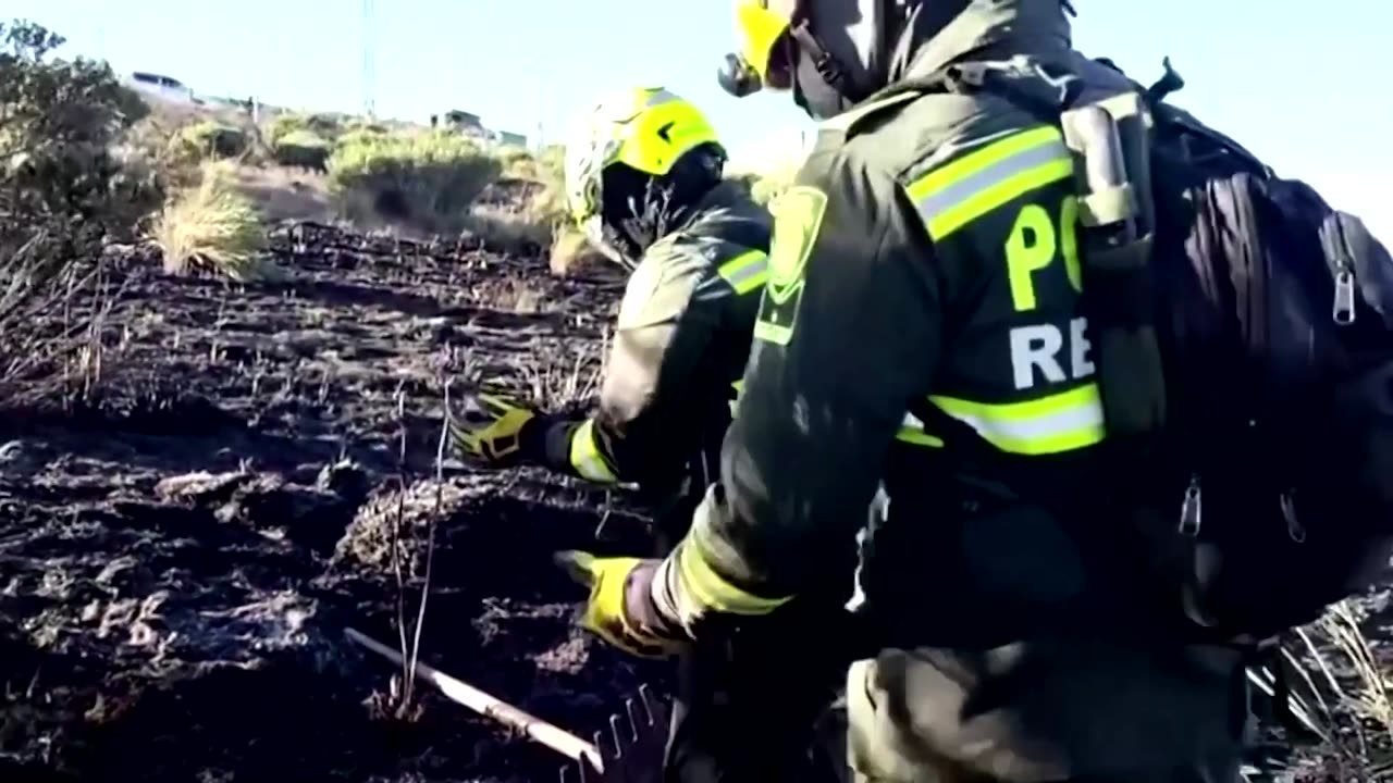 Firefighters rescue baby mole from Colombia wildfires