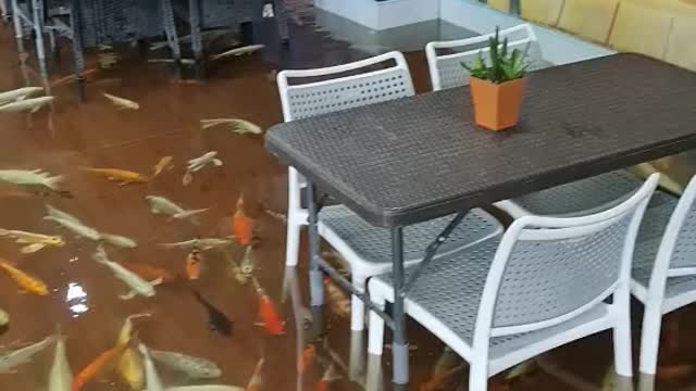 Fish Pond Continent Restaurant