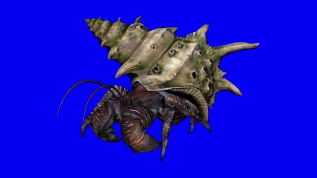 key synthesis large animal aquatic crab walking