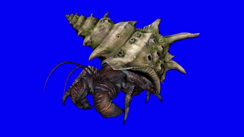 key synthesis large animal aquatic crab walking