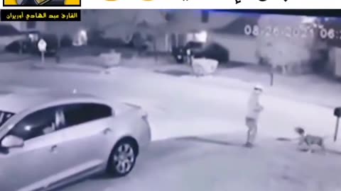 Amazing video