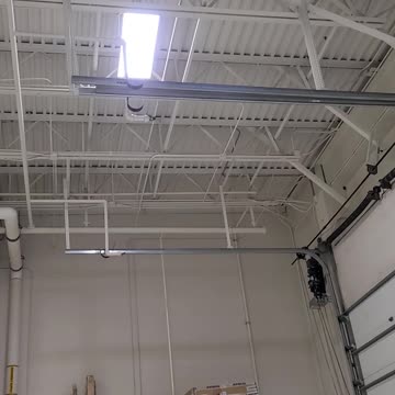 Bird is the word dude