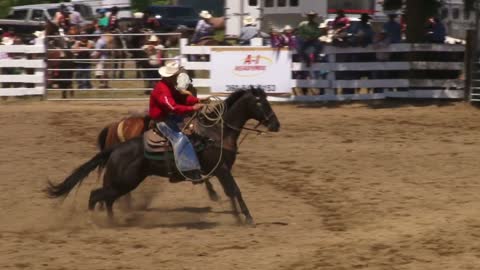 Bareback Bronc Riding