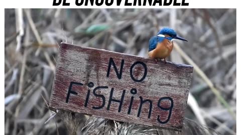 Be Ungovernable