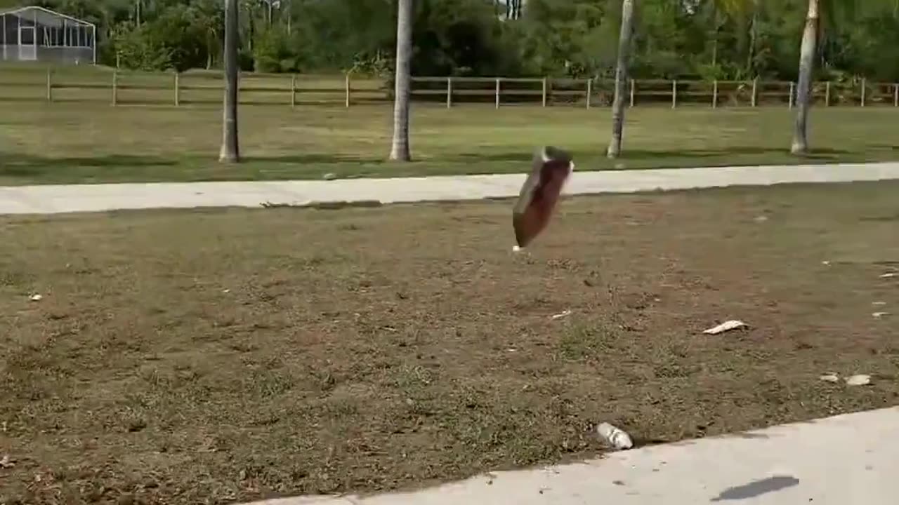 The end 😂😂😂 #funny #fails #viral #shorts #justlaughfolder