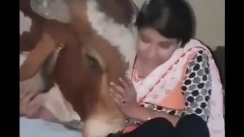 Gau mata ko prem kijiye