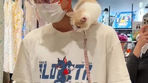 Daily life of baby kitten 1