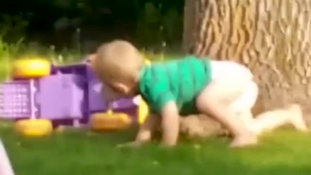 Funny Best Video Clips 2021 #shorts