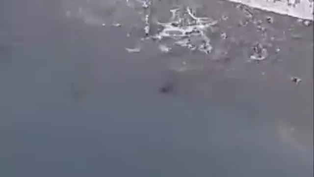 Watch the fishing scene