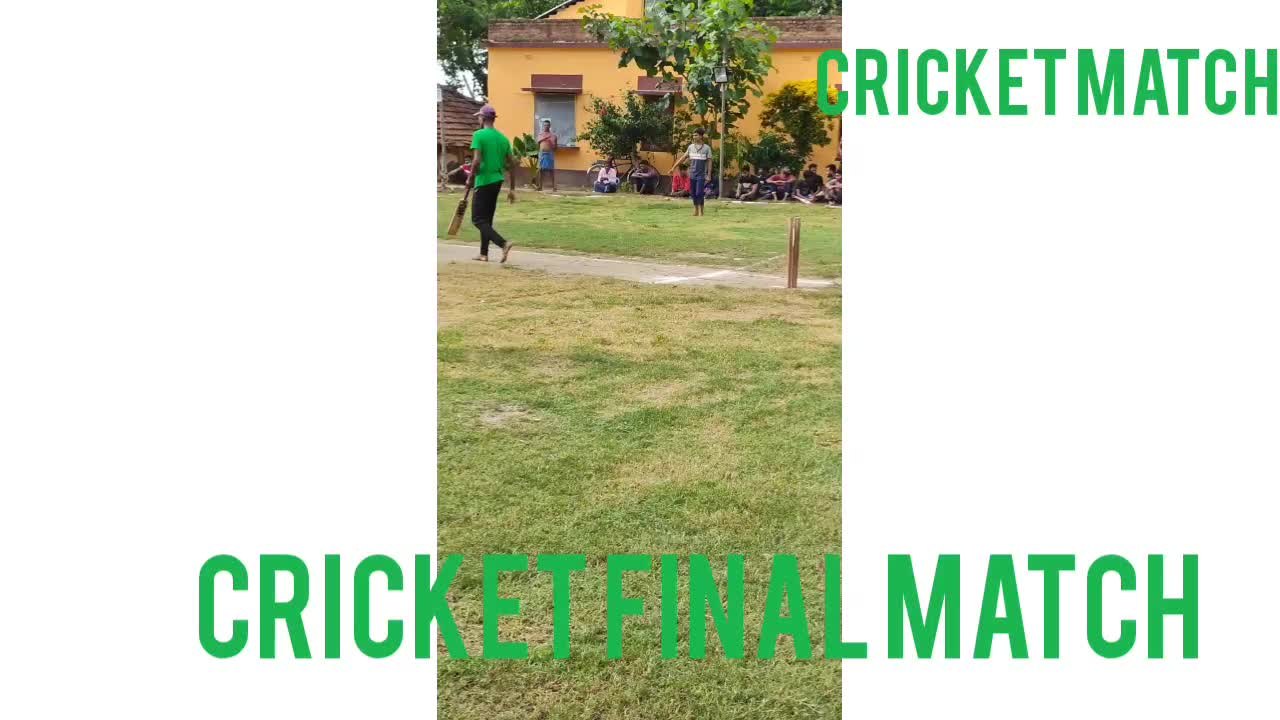 Cricket Final match
