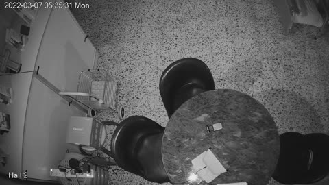 hallmid midnight 20220307