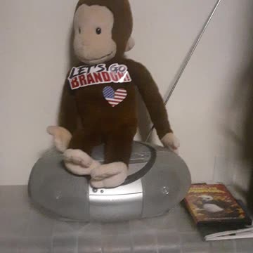 Maga Monkey