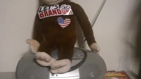 Maga Monkey