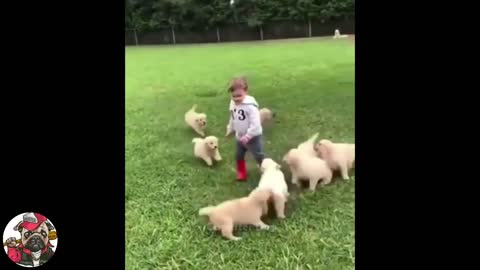 Totally Random Funny Dog Videos - Try Not To Laugh 2021