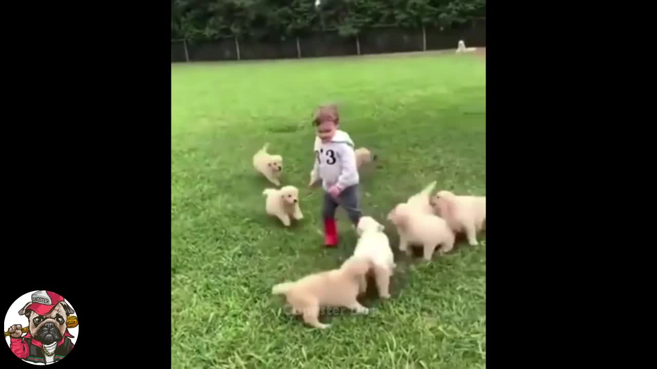 Totally Random Funny Dog Videos - Try Not To Laugh 2021
